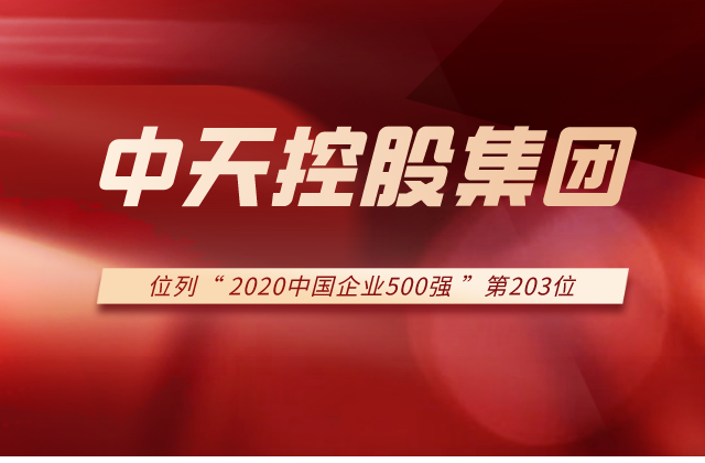 富联娱乐集团列2020中国企业500强第203位！